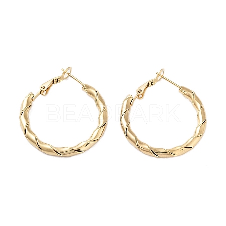 PVD Vacuum Plating 202 Stainless Steel Hoop Earrings EJEW-A041-07G-1