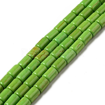 Synthetic Turquoise Beads Strands TURQ-G120-4x6mm-08-1