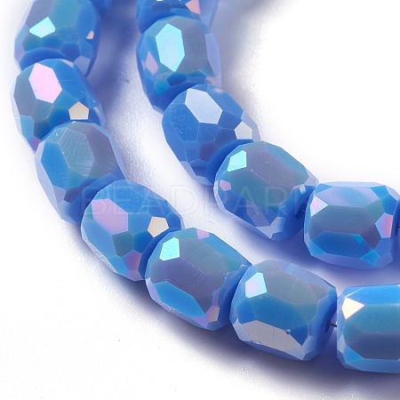 Electroplate Opaque Glass Beads GLAA-F108-10B-03-1