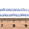 Dyed Natural Trochid Shell/Trochus Shell Beads Strands SSHEL-T017-13A-4