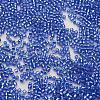 TOHO Japanese Seed Beads SEED-K007-2mm-35-2