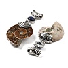 Natural Lapis Lazuli Fossil Snail Pendants G-F062-12-3