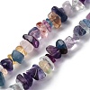 Natural Fluorite Chip Bead Strands G-M205-08-3