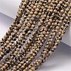 Natural Dalmatian Jasper Bead Strands G-K146-28-3mm-2