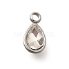 304 Stainless Steel Pendants STAS-Q346-04P-04-1