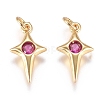Brass Micro Pave Cubic Zirconia Charms ZIRC-G168-53G-03-1