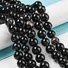 Natural Black Agate Beads Strands G-G391-10mm-01-1