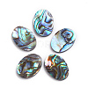 Natural Abalone Shell/Paua Shell Cabochons SSHEL-L017-003-1