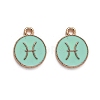 Alloy Enamel Pendants ENAM-S124-01A-15H-1