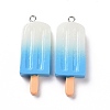 Gradient Color Resin Imitation Food Pendants RESI-H144-11-3