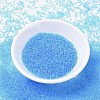 MIYUKI Delica Beads SEED-J020-DB1109-2