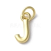 Rack Plating Brass Charms KK-P245-06G-J-1