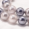 Round Shell Pearl Bead Strands X-BSHE-L011-8mm-L030-4