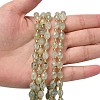 Natural Prehnite Beads Strands G-F809-A06-01-6