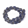 Natural Sodalite Beads Strands G-T098-08A-2
