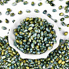Glass Seed Beads SEED-T009-02E-1