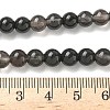 Natural Ice Obsidian Beads Strands G-P590-A03-6mm-02-3