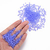 8/0 Transparent Glass Seed Beads SEED-S048-P-002-5