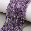 Natural Amethyst Beads Strands G-K373-B03-03-2