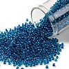 TOHO Round Seed Beads SEED-JPTR11-0932-1