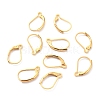 304 Stainless Steel Leverback Earring Findings LS-STAS-K233-04G-2