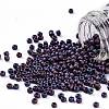TOHO Round Seed Beads SEED-XTR11-0704-1