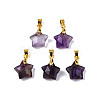 Faceted Natural Mixed Gemstone Charms G-N326-142-M-2