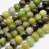 Natural Serpentine Beads Strands G-N0170-002-10mm-1
