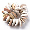 Natural Shell Beads Strands SSHEL-N034-101-2