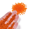 Glass Seed Beads SEED-A004-3mm-9B-4