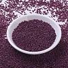 MIYUKI Round Rocailles Beads X-SEED-G007-RR0313-2