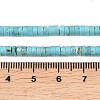 Natural Turquoise Beads Strands X-G-M422-C01-01-4