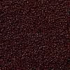 MIYUKI Round Rocailles Beads SEED-G009-RR0419-3