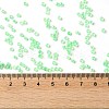 Glass Seed Beads X-SEED-S042-13A-12-4