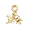 Brass Micro Pave Clear Cubic Zirconia European Dangle Charms KK-P345-46G-1