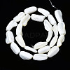 Natural Trochid Shell/Trochus Shell Beads Strands SSHEL-S266-014A-2