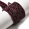 Natural Garnet Beads Strands X-G-I341-09B-01-5