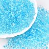 Spray Painted Glass Seed Beads SEED-T007-08B-3