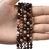 Natural Petrified Wood Beads Strands G-Z119-A21-01-2