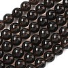Natural Smoky Quartz Beads Strands G-C265-A01-10mm-02-2