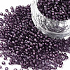 12/0 Grade A Round Glass Seed Beads SEED-N001-D-11/218-1