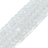 Natural Rainbow Moonstone Beads Strands G-F748-Z01-01-2