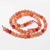 Natural Carnelian Beads Strands G-D840-34-6mm-2