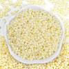 Opaque Colours Luster Glass Seed Beads X1-SEED-K010-04H-3