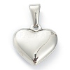 304 Stainless Steel Pendants LS-STAS-P278-01C-P-2