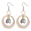 Glass Oval Dangle Earrings EJEW-JE05724-1