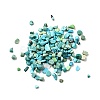 Dyed & Heated Natural Magnesite Chip Beads G-L453-01-3