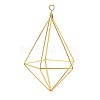 Iron Plant Hangers IFIN-N012-02G-1