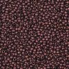TOHO 11/0 Round Beads X-SEED-TR11-0222F-2