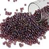 TOHO 8/0 Round Beads SEED-TR08-0166B-1
